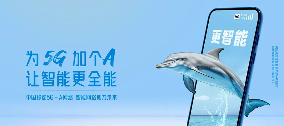 鸡东县鸡东县鸡东镇 移动宽带